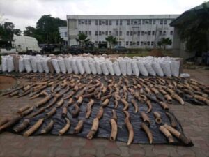 IMG-20210804-WA0033 (1)