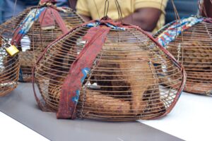 IMG-20260214-WA0090(1)